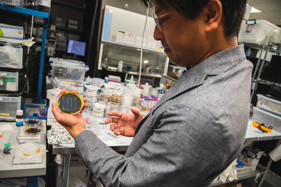Dr. Arum Han explains how different patterns of the microfluidic lab-on-a-chip device works. 